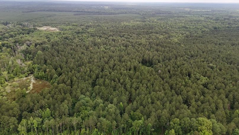 Copy of DJI_20250529224938_0541_D