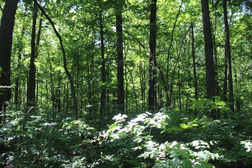 trail 22