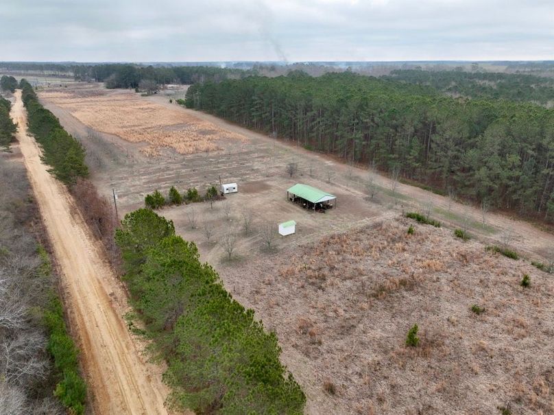 dji_fly_20260210_114014_257_1770741989790_photo