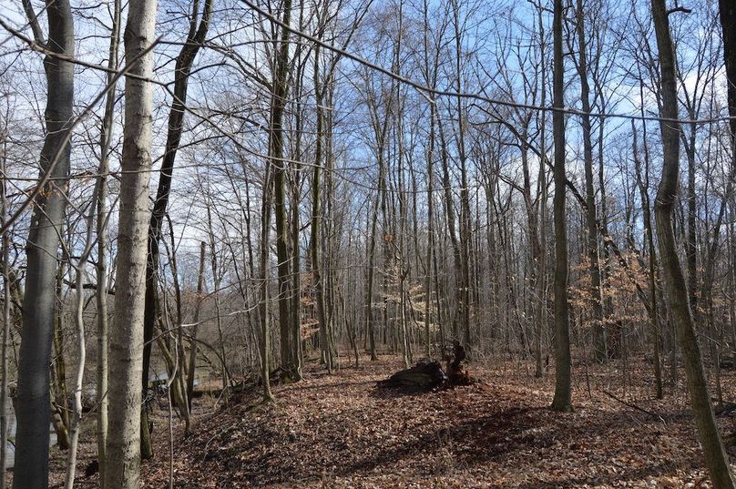 view looking east from SW corner