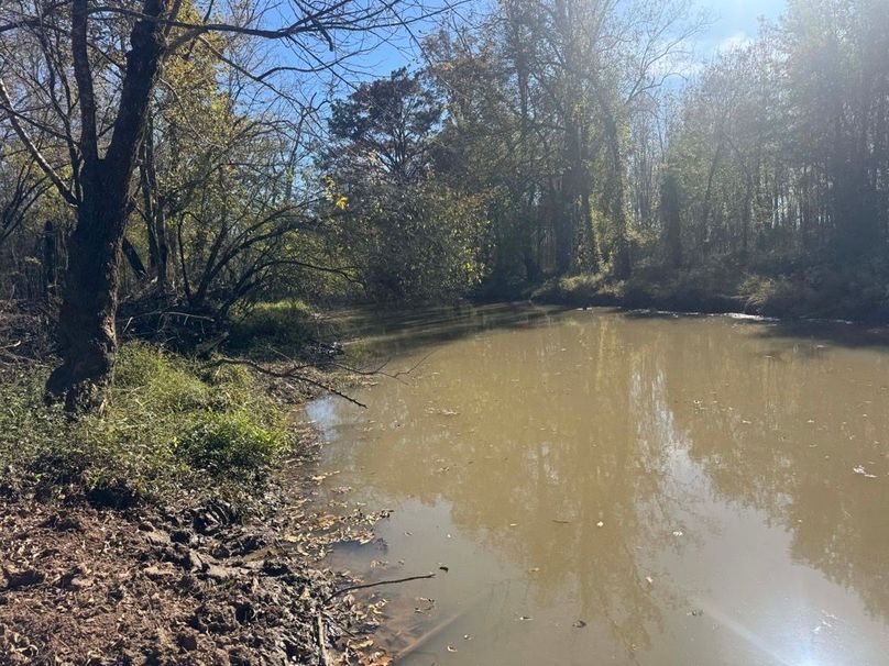 1a1 jeff 8320251111_0276