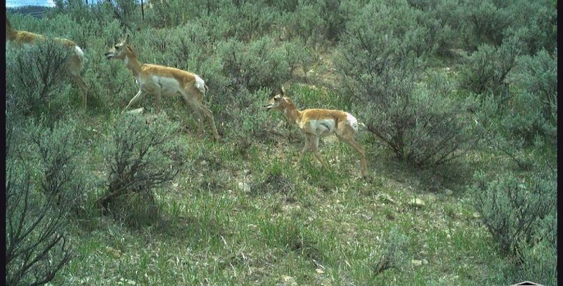 BBA41C15-101C-47AC-81AC-CD9E72C26F7A