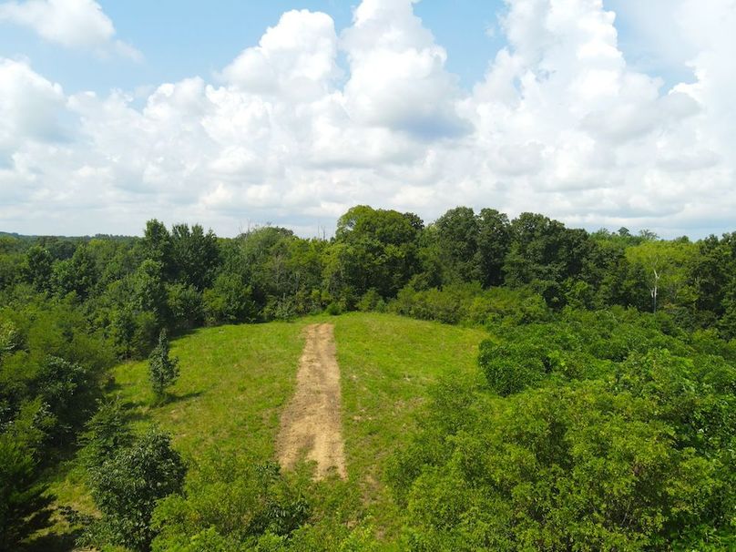 dji_fly_20250729_111138_807_1753801921064_photo