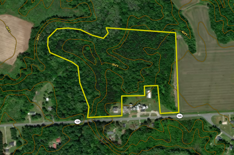 Martin Co, NC 32 - Lake Phelps Timber Topo