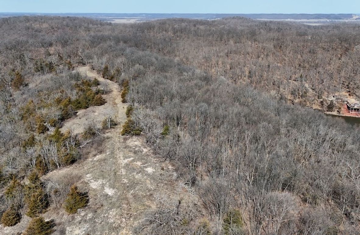 DJI_20250308113051_0018_D