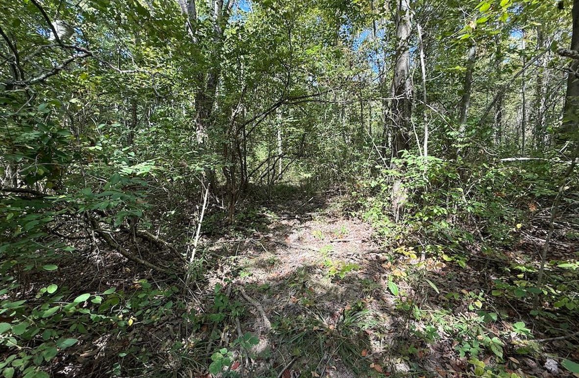 Chemung_20.82_Meyers Photo 5