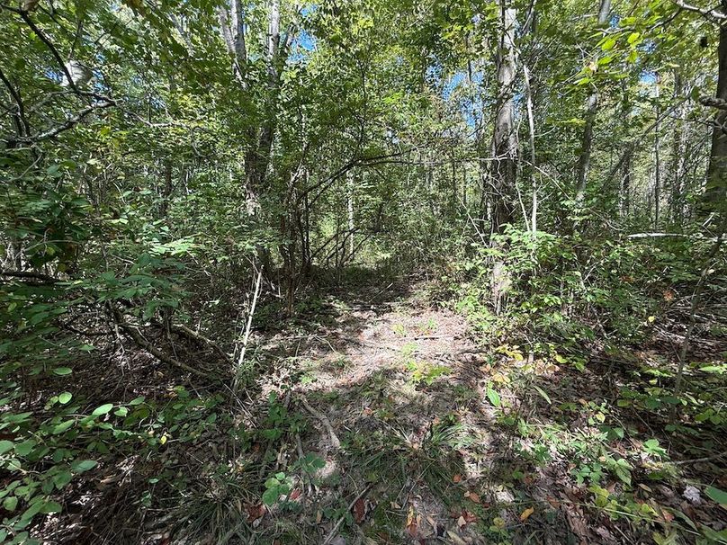 Chemung_20.82_Meyers Photo 5