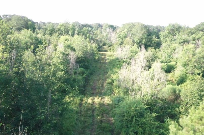 DJI_0630