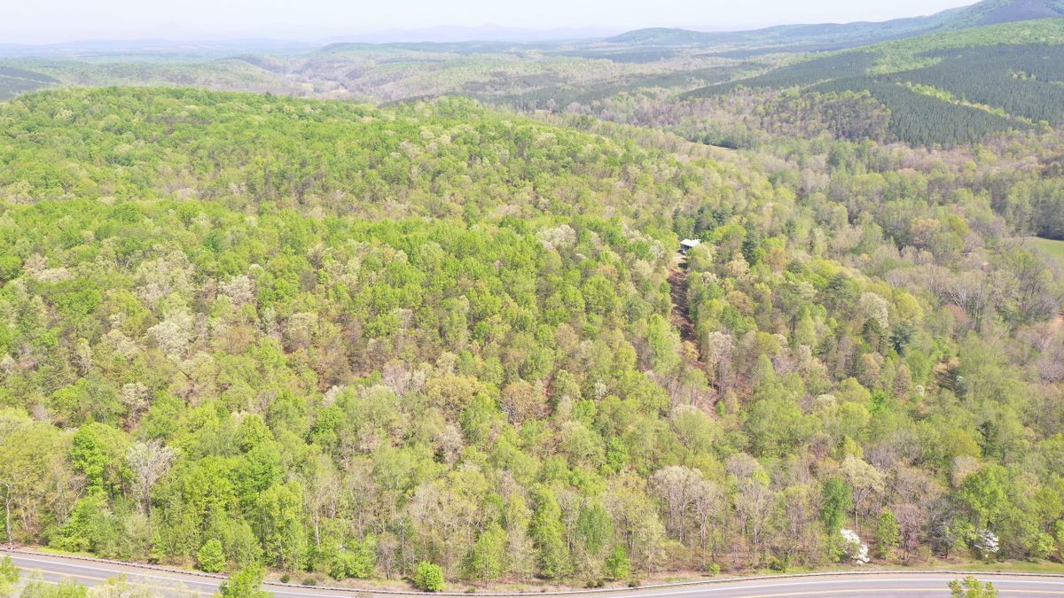 Large Acreage Homestead Hunting And Timber Investment Property