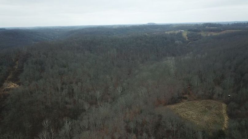 org_903016407607795a_1767820070000