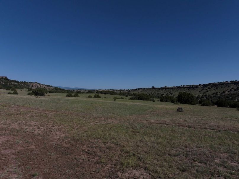 DJI_20250619093153_0004_D