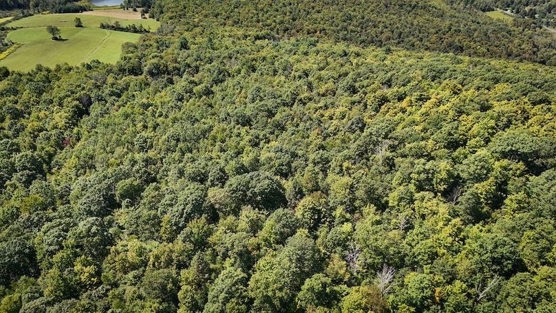 Tioga NY 64 Shores 11