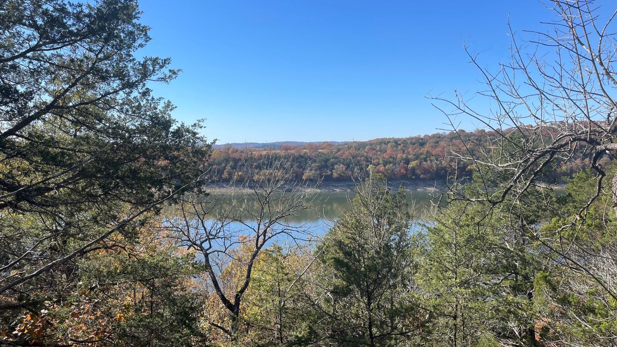 Buildable Wooded Tract Near Bull Shoals Lake Whitetail Properties