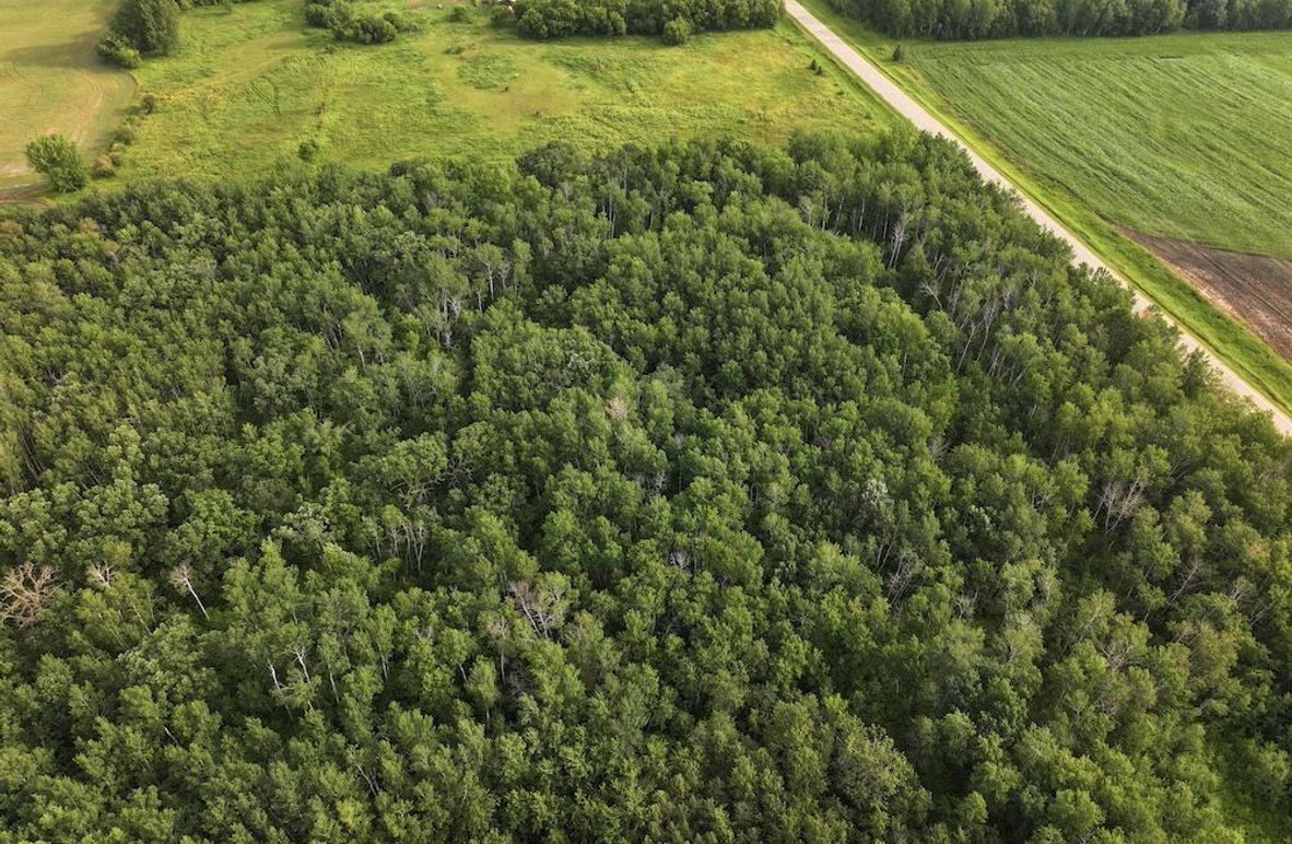 DJI_20250605124009_0533_D