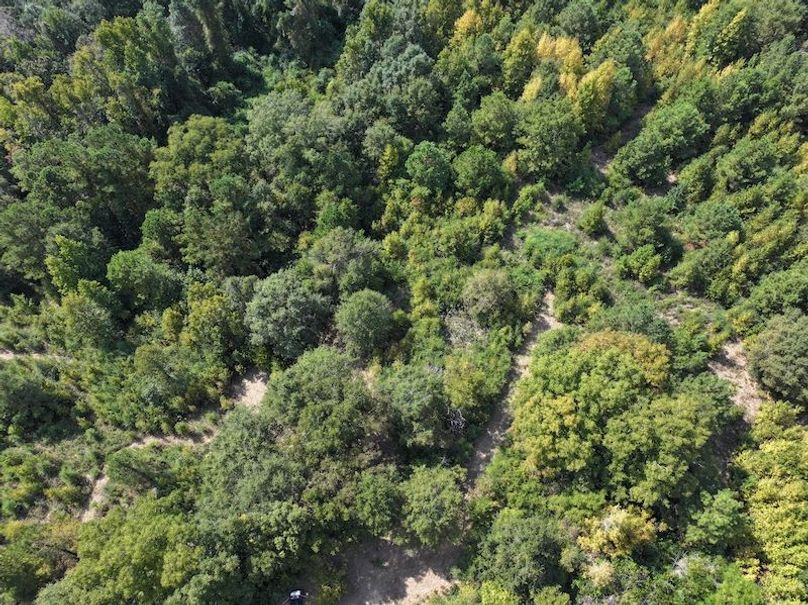 dji_fly_20250915_151136_0468_1758029013204_photo