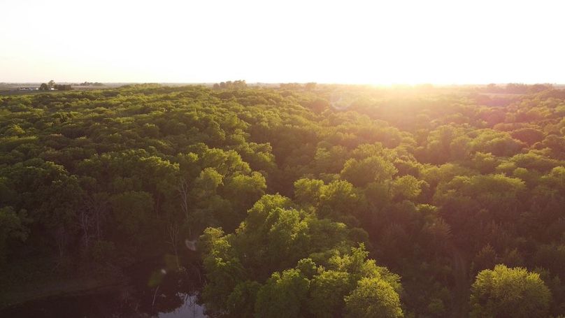 PAGE CO IA 130+_-_56