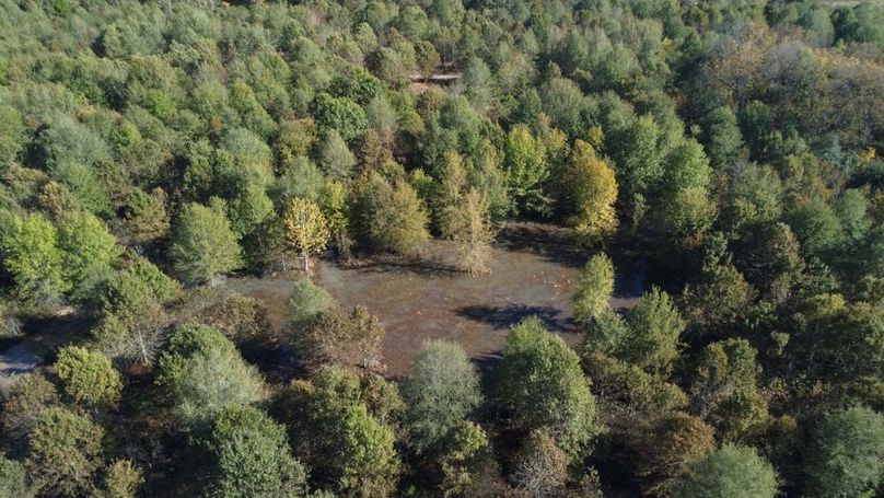 1a1 jeff 8320251111_0235