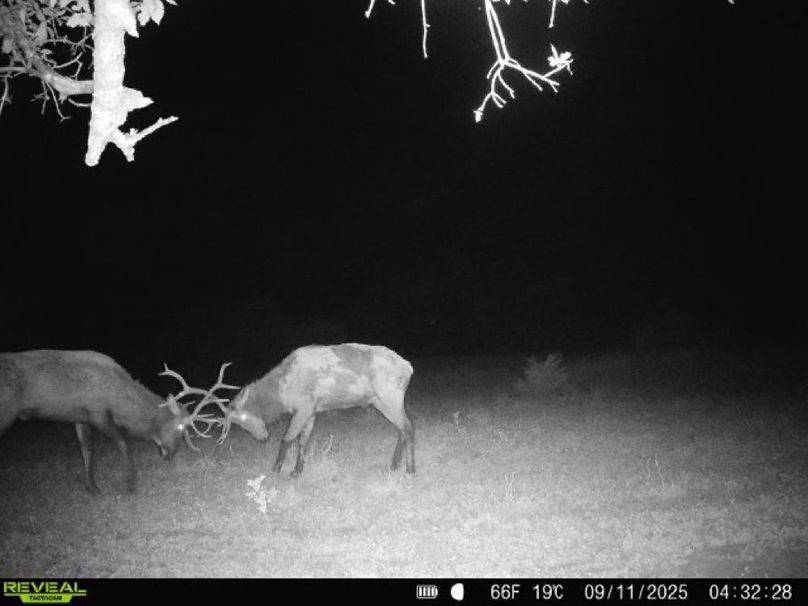 Copy of 868032069649766-100-3-09112025043228-W1005410