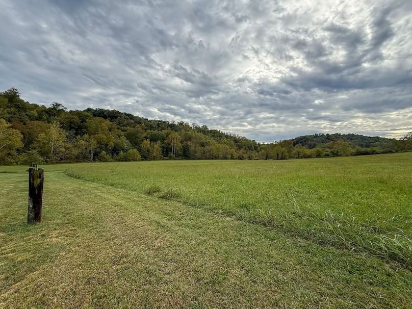 Greenup 77.28 Holsinger-09