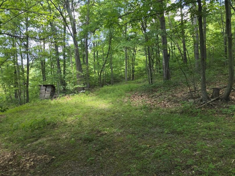 DJI_20240612145035_0010_V