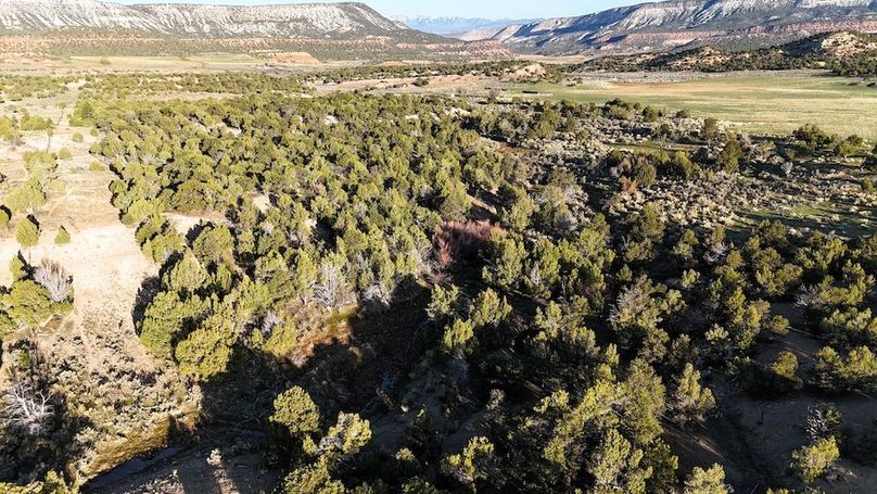 DJI_20250411080057_0113_D
