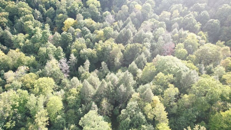 dji_fly_20240909_165456_631_1725915619177_photo