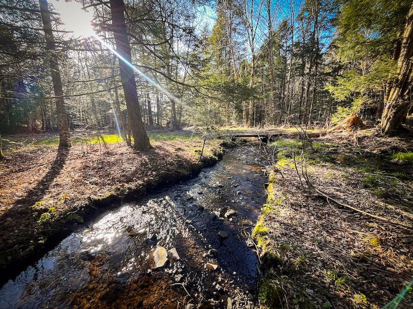 Oswego_17.88_Feld_Photos_33