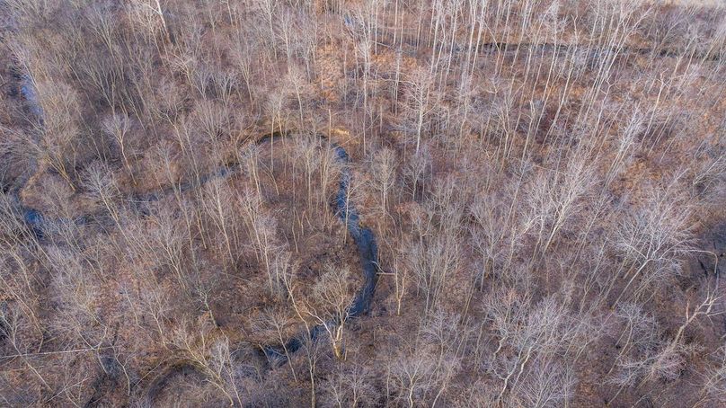 DJI_20260218080118_0012_D