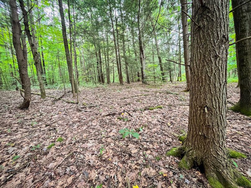 Chemung_60.55_Baumunk_Photos_12