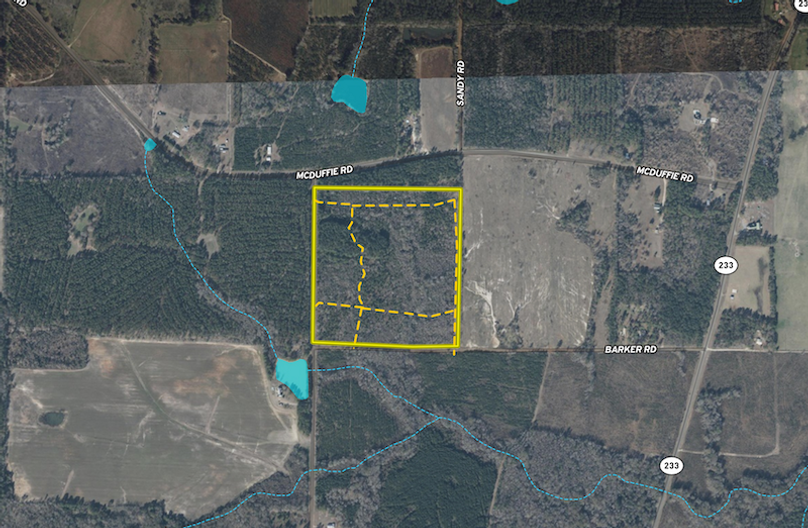 Screenshot 2026-02-17 at 9.47.01 AM