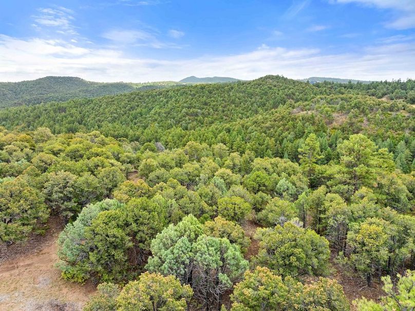 DJI_20250924110251_0131_D