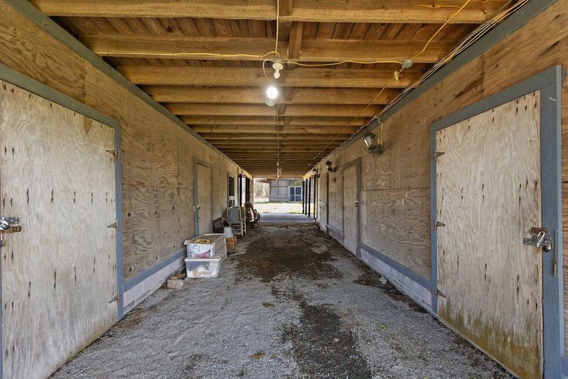 39-web-or-mls-IMGL0792