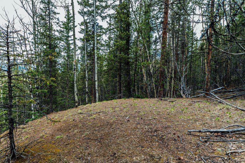 Teller 11.75 - 0003 camp site