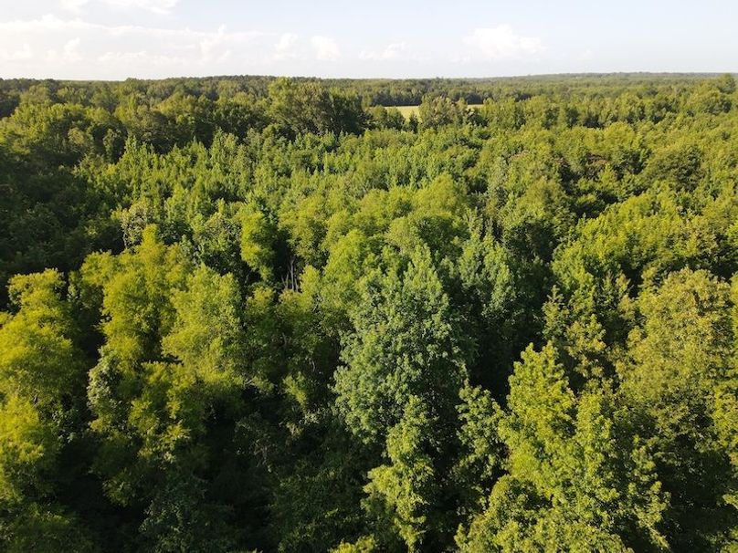 DJI_0397