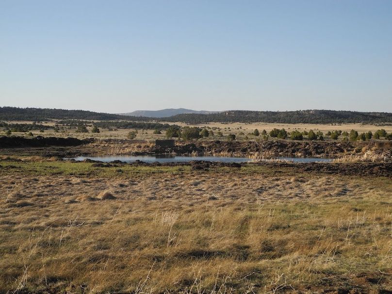 8_Pratt artesian pond