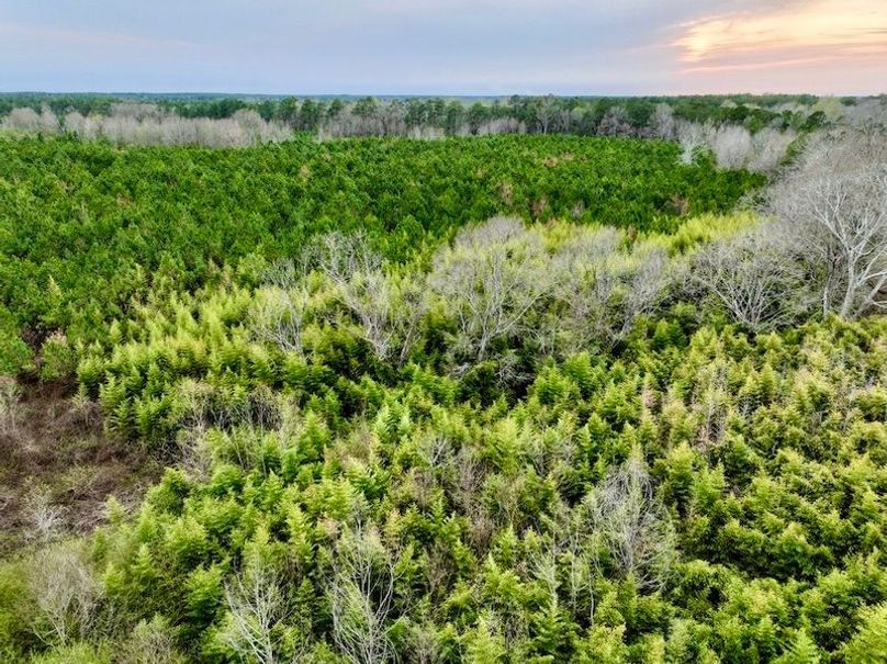 A5288105-E057-46EE-91D4-C8F4C0362A0F_1_105_c