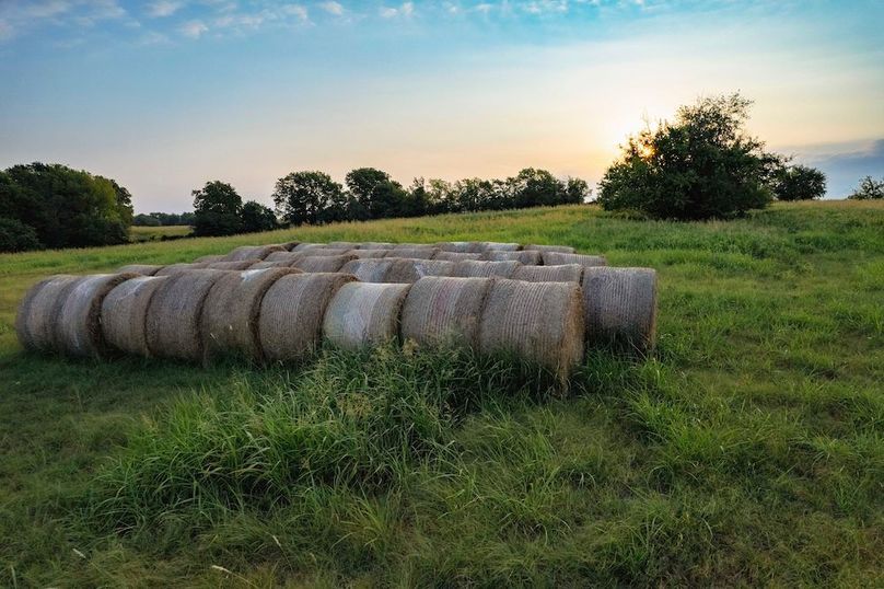 Lamar County TX 112-7