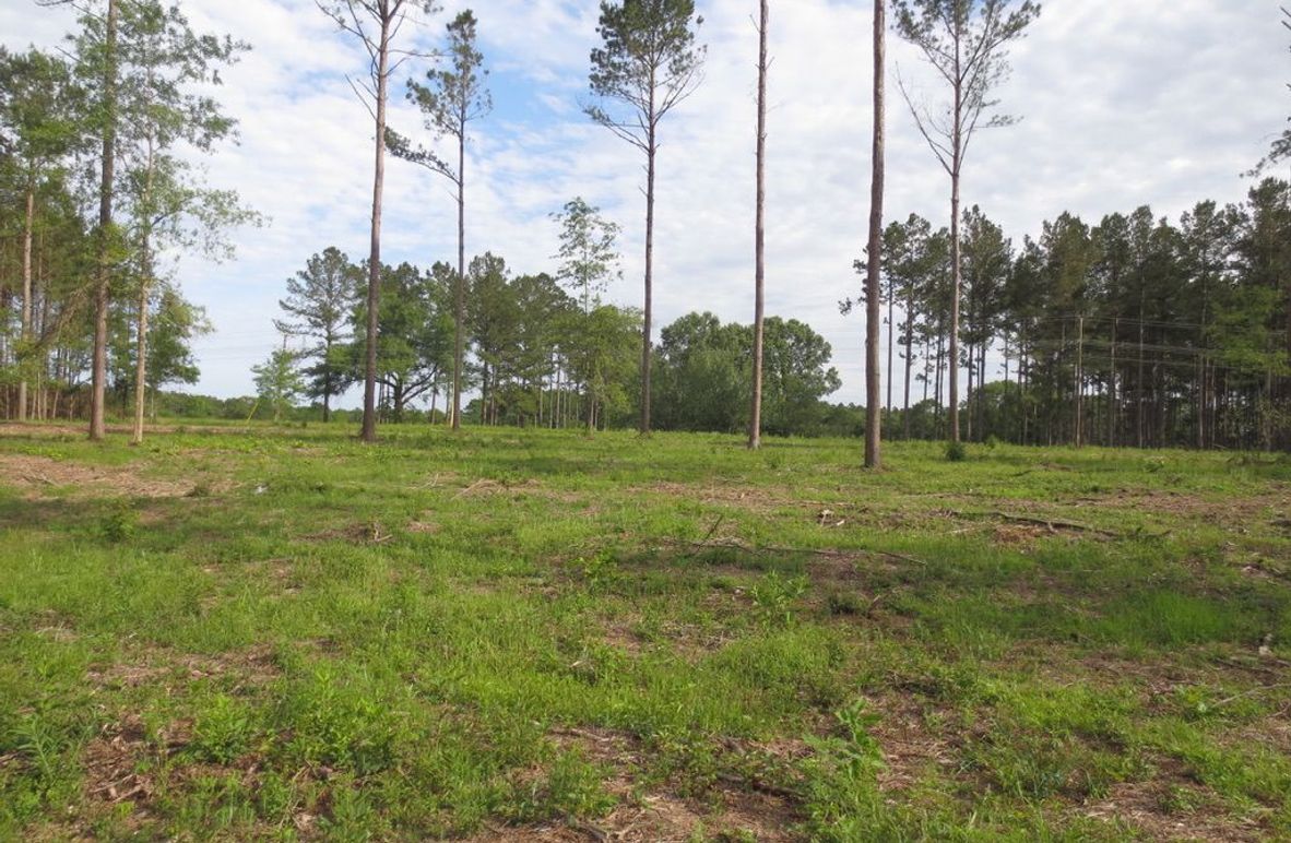 51093708-13D8-4954-B803-059E46E1C6E0_1_105_c