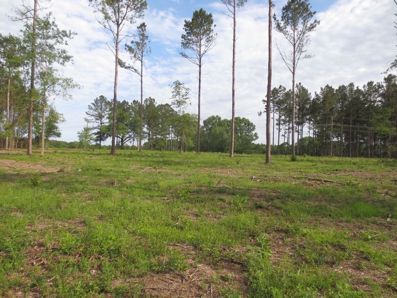 51093708-13D8-4954-B803-059E46E1C6E0_1_105_c