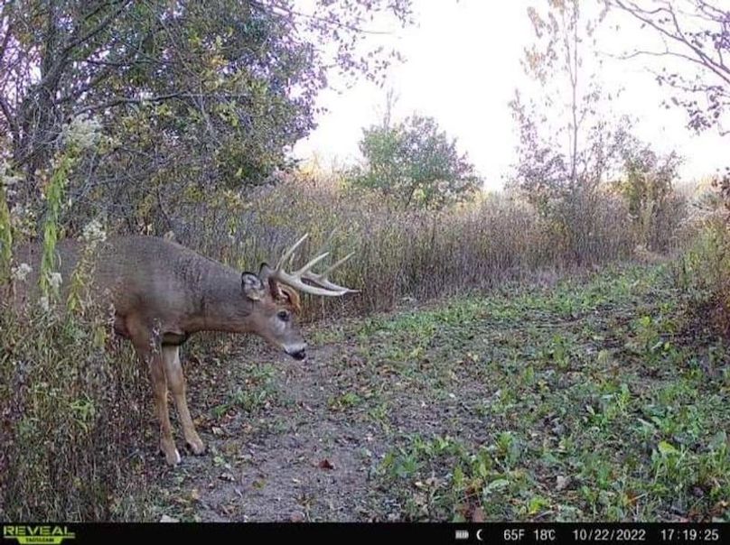 FB_IMG_1718028849787