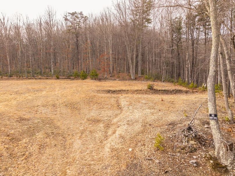 DJI_20260304155610_0019_D