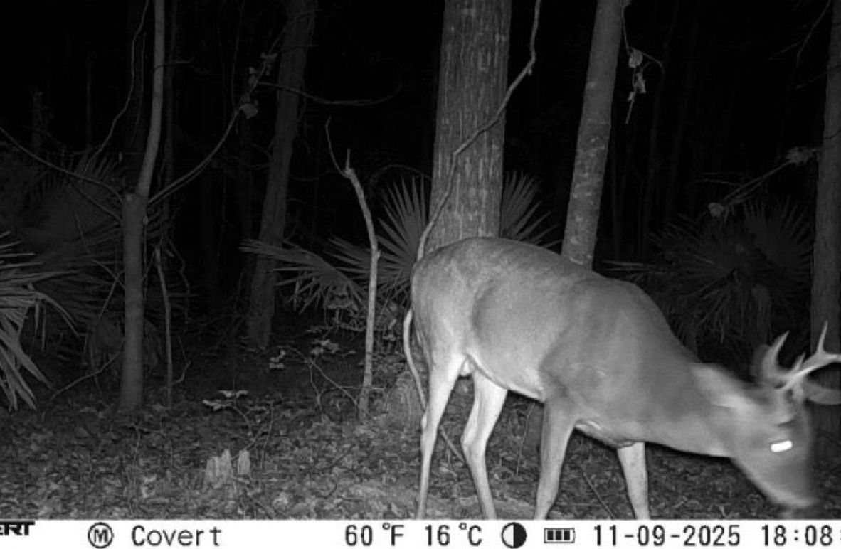 11_09_2025_18_08_32_3245649405