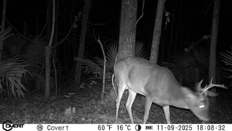 11_09_2025_18_08_32_3245649405