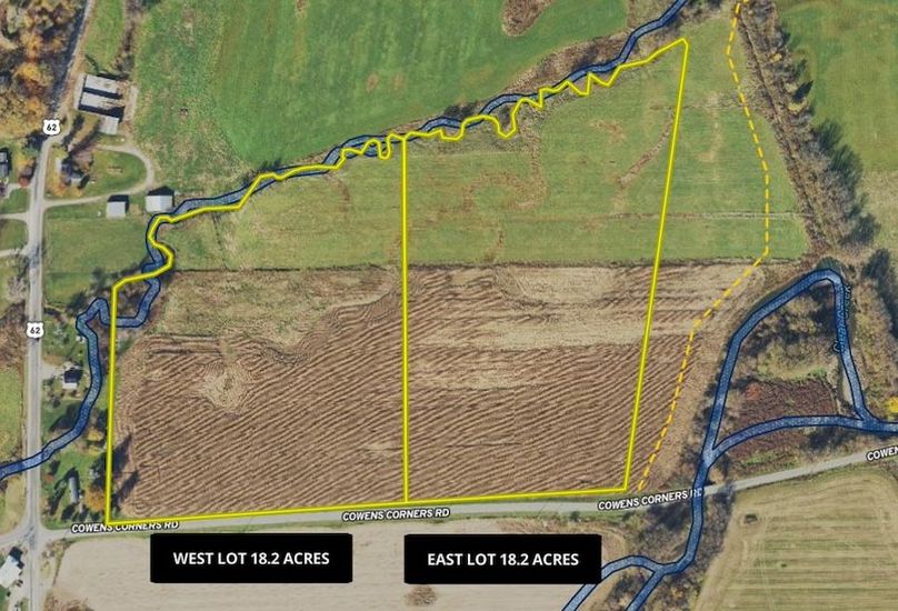 Land ID Wetlands