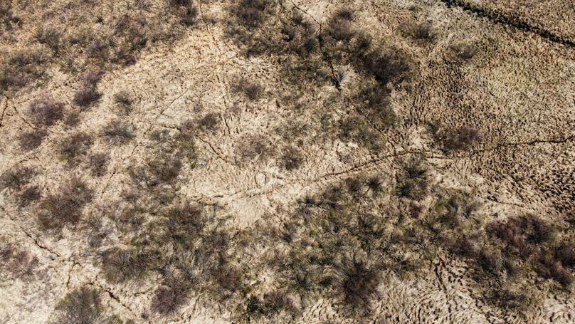 dji_fly_20230503_122638_371_1683230722404_photo_optimized