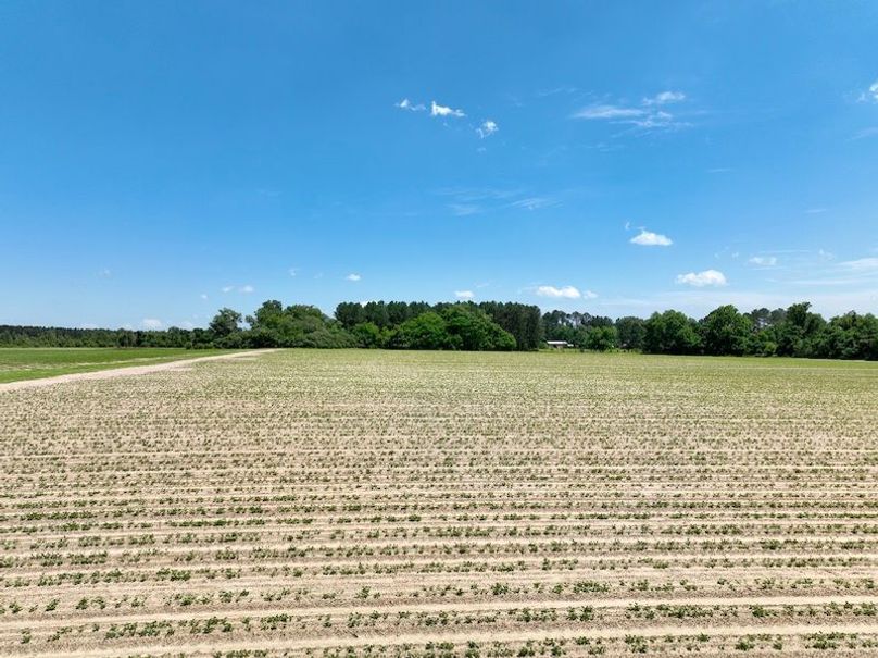 dji_fly_20250521_144644_883_1747853595487_photo
