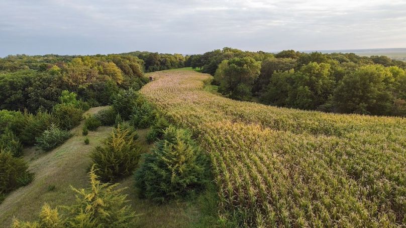 FREMONT CO IA 159.05_87