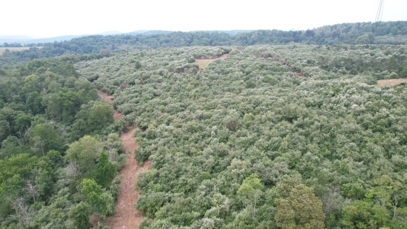 dji_fly_20250806_125206_545_1754499873512_photo