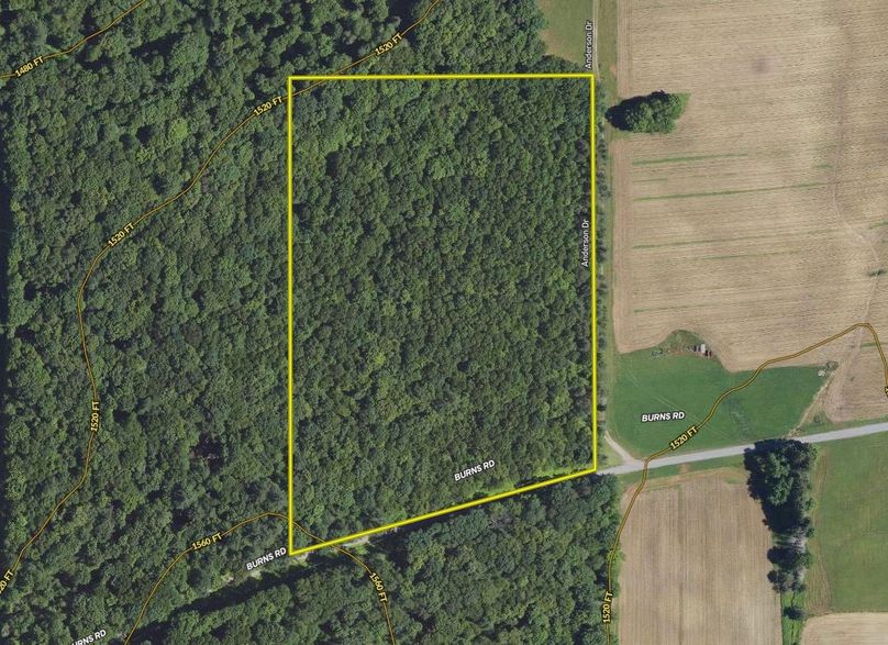 Screen Shot 2023-11-23 at 10.00.00 AM