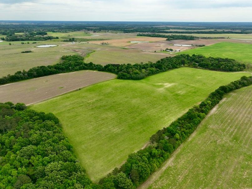 dji_fly_20260406_131714_474_1775496423187_photo